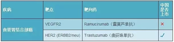 食管胃结合部癌靶向药.webp.jpg